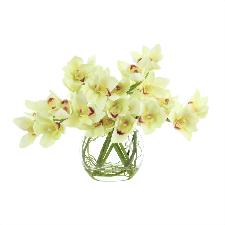 Orchids and Vine in a Glass Vase