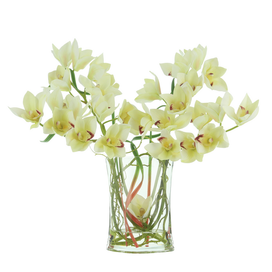 Cymbidium Orchids Arranged In Glass Vase with Vine