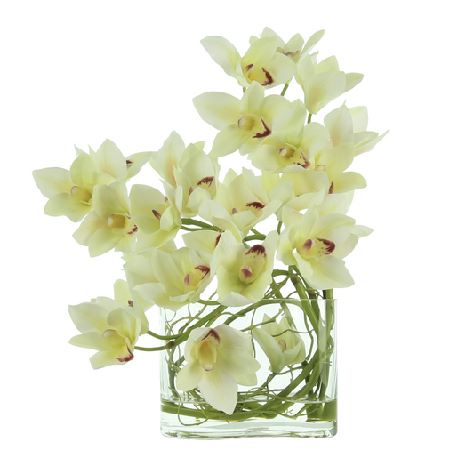 Cymbidium Orchid Arranged with Vine in a Glass Vase