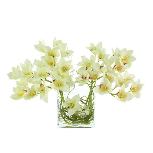 Cymbidium Orchid with Vine in a Rectangular Glass Vase