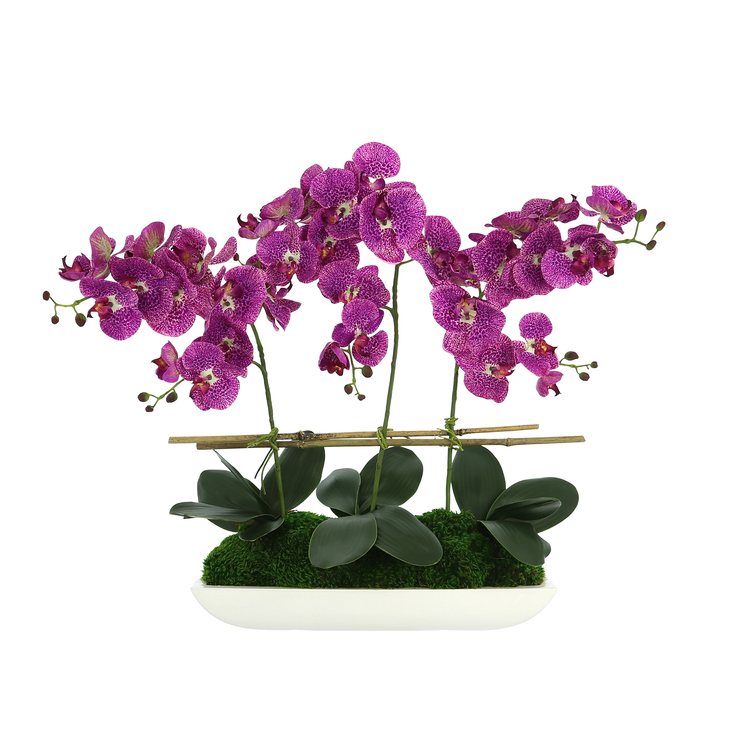 Orchids Floral Arrangement in a Fiberstone Pot