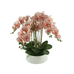 Orchid Floral Arrangement in a Round Ceramic Planter