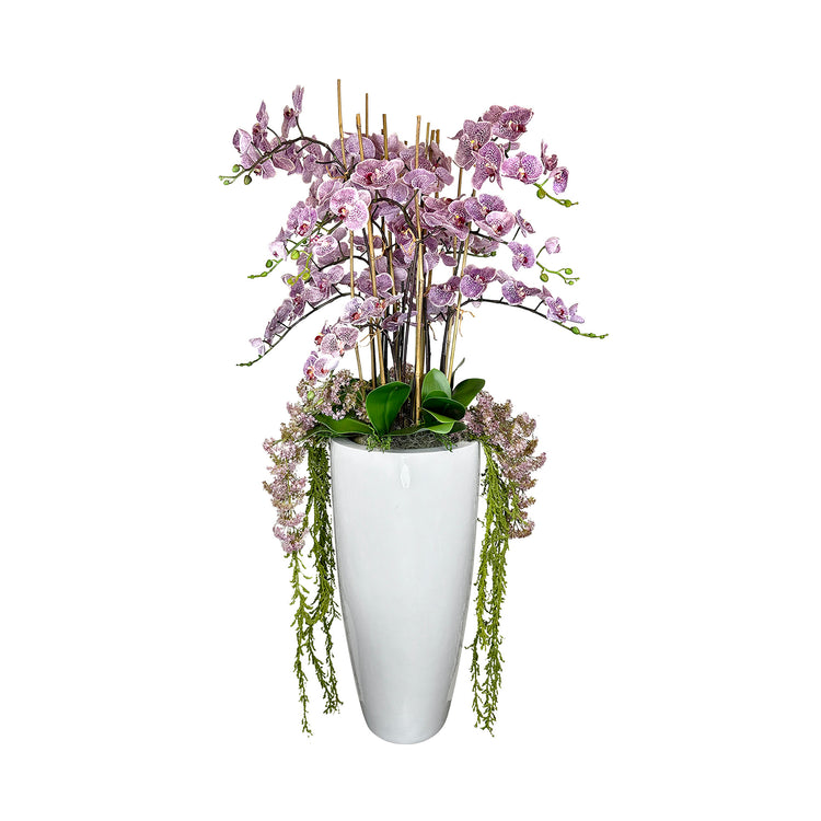 Orchid and Amaranthus Arranged In Fiberstone Planter