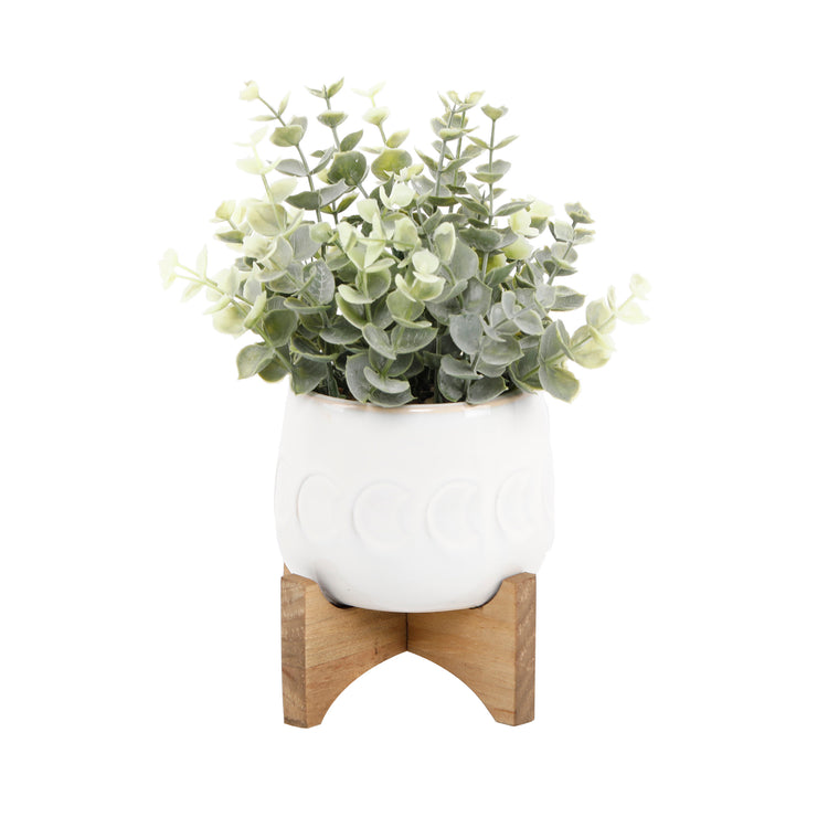 Ivory Big Moon Phase Pot On Stand Featuring Eucalyptus