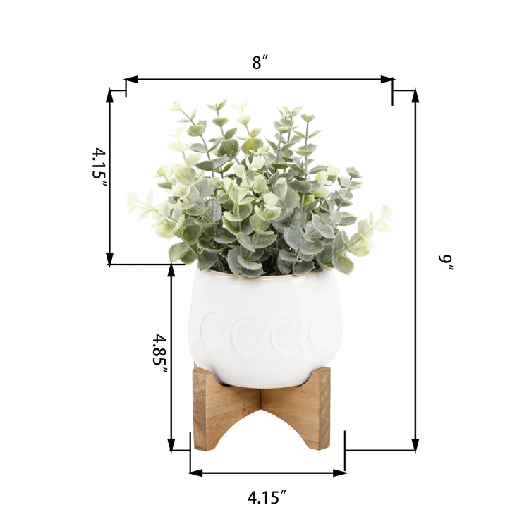 Ivory Big Moon Phase Pot On Stand Featuring Eucalyptus