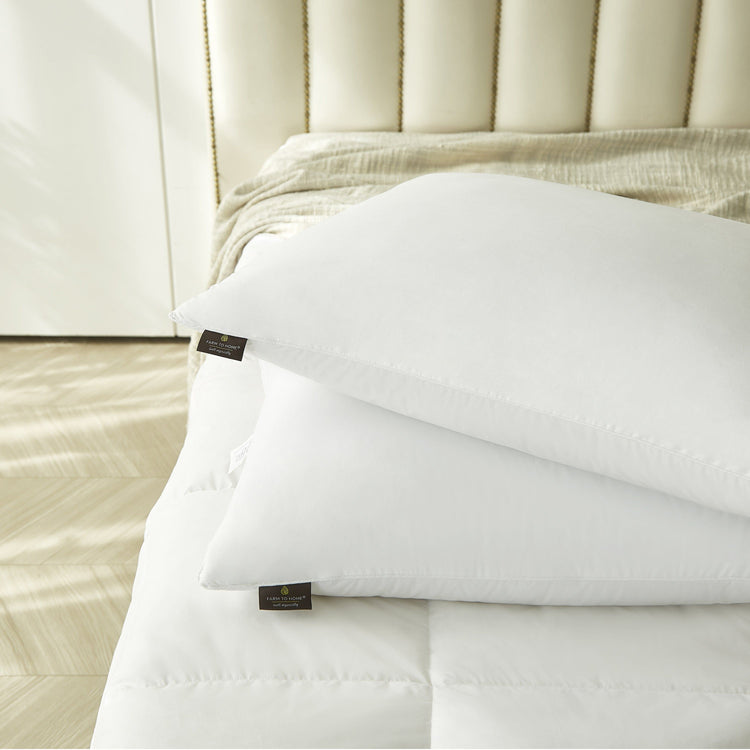 2-Pack Feather Down Pillows
