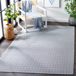 Hampton 230 Indoor / Outdoor Rug