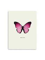 Pink Butterfly Canvas Art Print