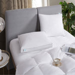 240 Thread Count Firm Cotton Pillow 2 Pack