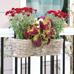 Over-the-Rail Tri-Planter with Liners