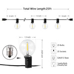 Jenica Outdoor String Lights