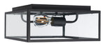 Rinnah 12" Outdoor Flush Mount