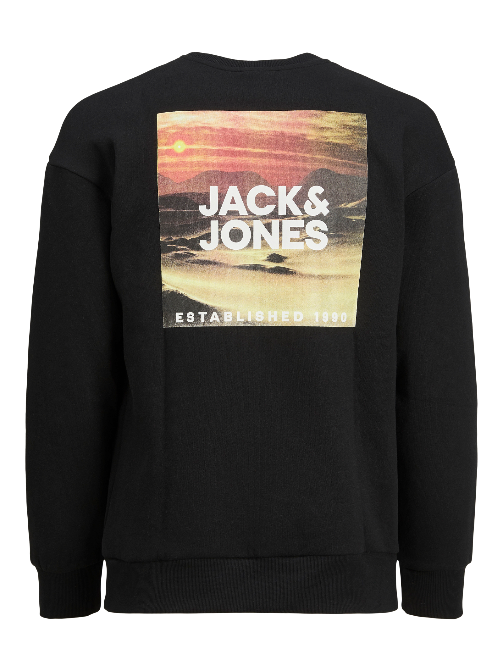  Jack & Jones Jcoswish Crewneck Sweatshirt - Moonbeam - Bonton