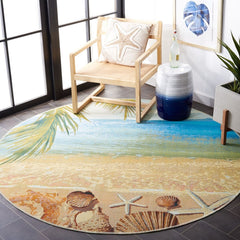 Barbados 555 Indoor / Outdoor Rug