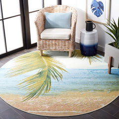 Barbados 560 Indoor / Outdoor Rug