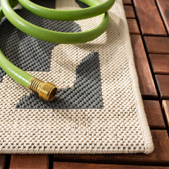 Courtyard 6913 Indoor / Outdoor Rug