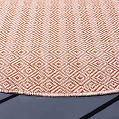 Hampton 230 Indoor / Outdoor Rug