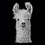 Premium Blend Word Art T-shirt - Llama