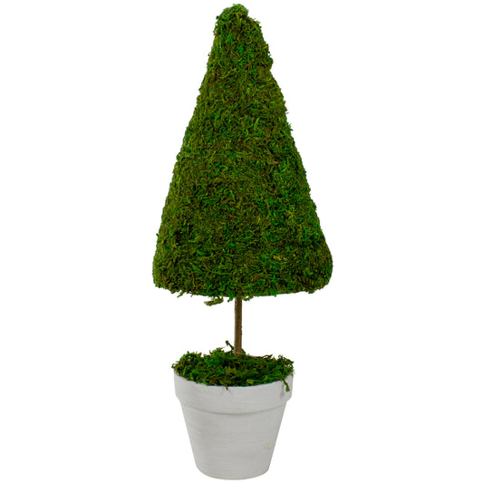 Reindeer Moss Potted Faux Floral Topiary Tree, 21"