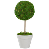 Green Reindeer Moss Ball Faux Topiary Tree, 16"